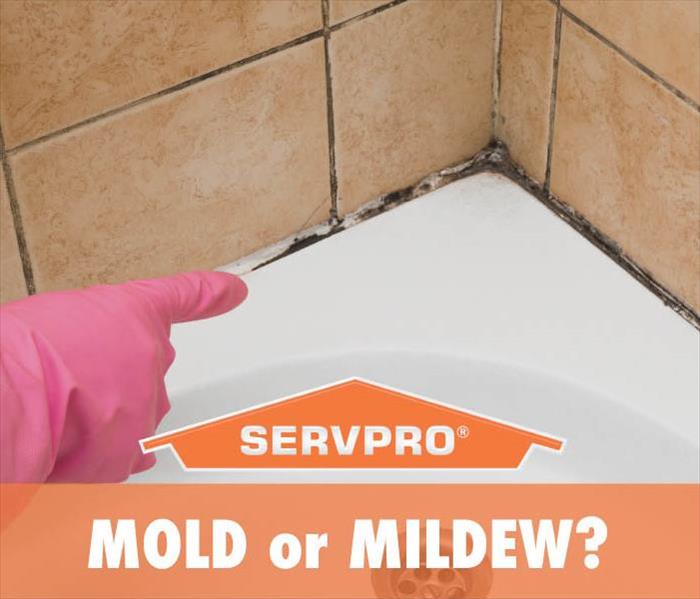 mold and mildew damage on the tile in a bathtub